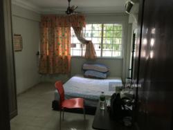 Blk 251 Hougang Avenue 3 (Hougang), HDB 5 Rooms #114924172